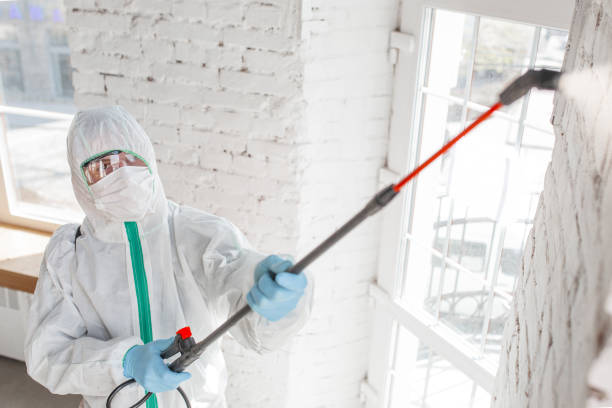 Reliable Wagener, SC Mold Removal Solutions