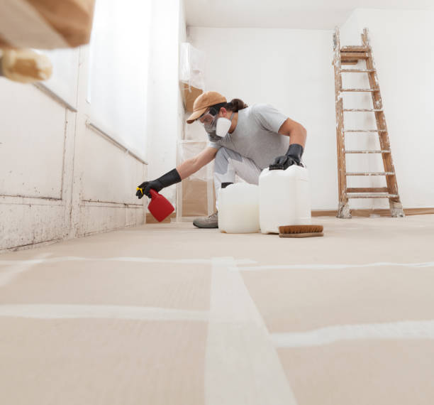Best Airborne Mold Testing  in Wagener, SC
